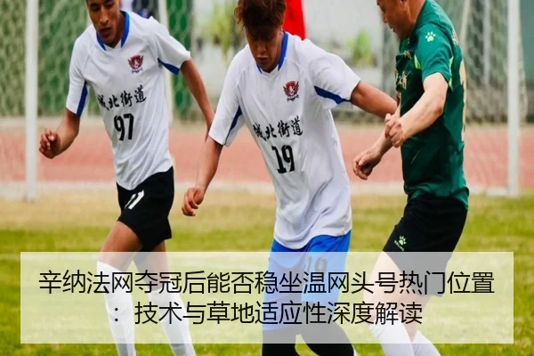 xin-na-fa-wang-duo-guan-hou-neng-fou-wen-zuo-wen-wang-tou-hao-re-men-wei-zhi-ji-shu-yu-cao-di-shi-ying-xing-shen-du-jie-2-412.jpg