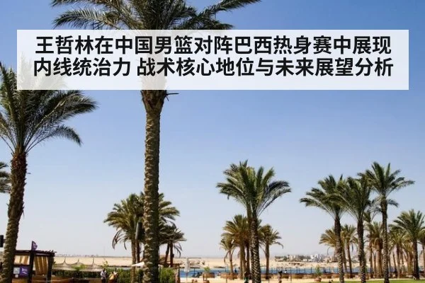 王哲林在中国男篮对阵巴西热身赛中展现内线统治力 战术核心地位与未来展望分析 | jiuyou game
