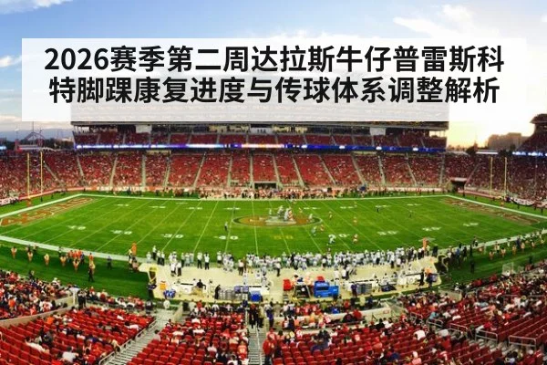 nfl football stadium game action