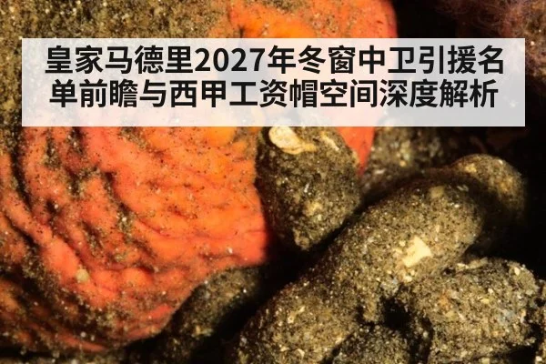 皇家马德里2027年冬窗中卫引援名单前瞻与西甲工资帽空间深度解析